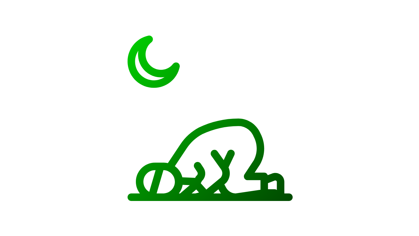 A prayer space for Muslims